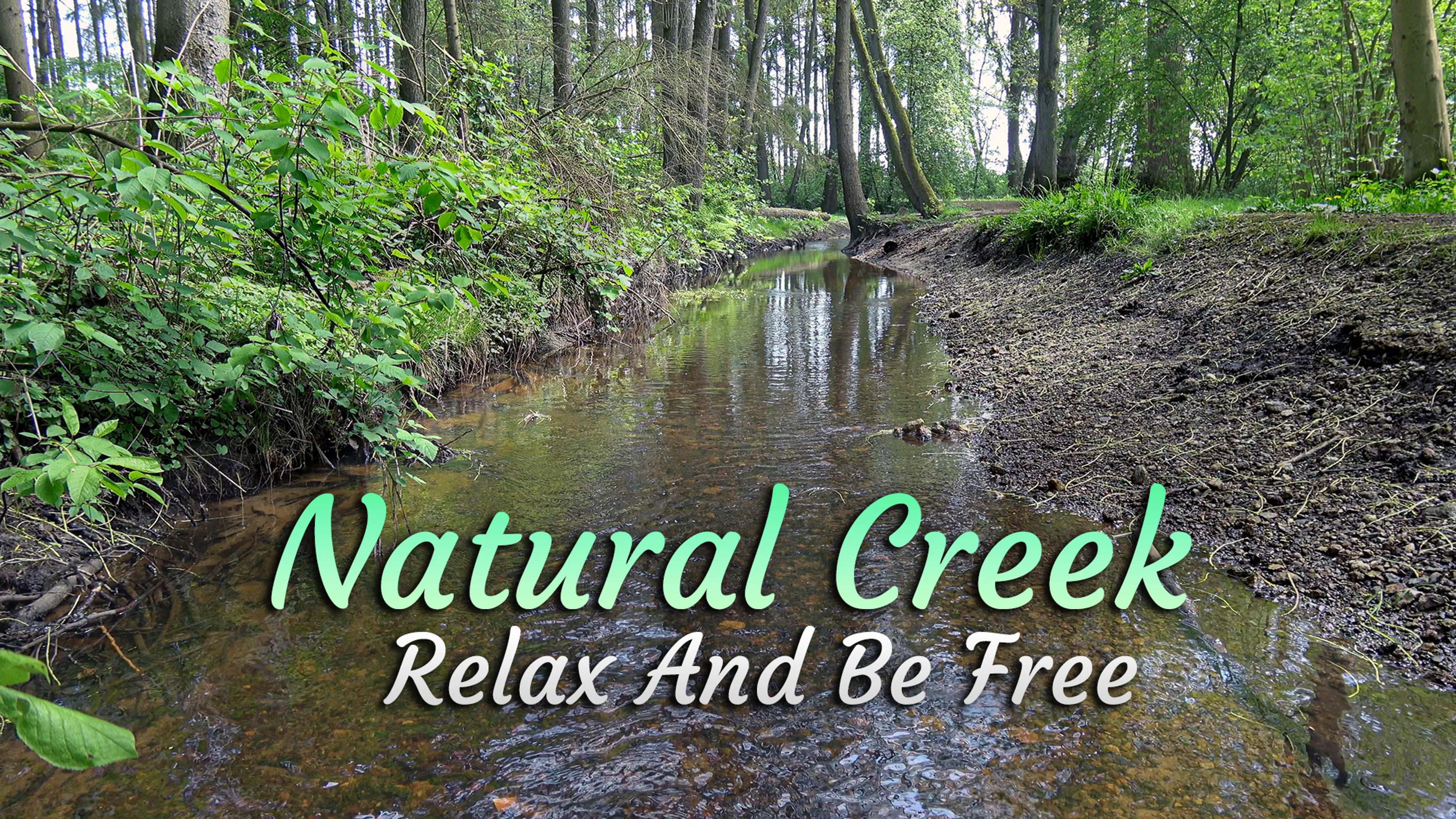 Natural Creek: Relax And Be Free poster